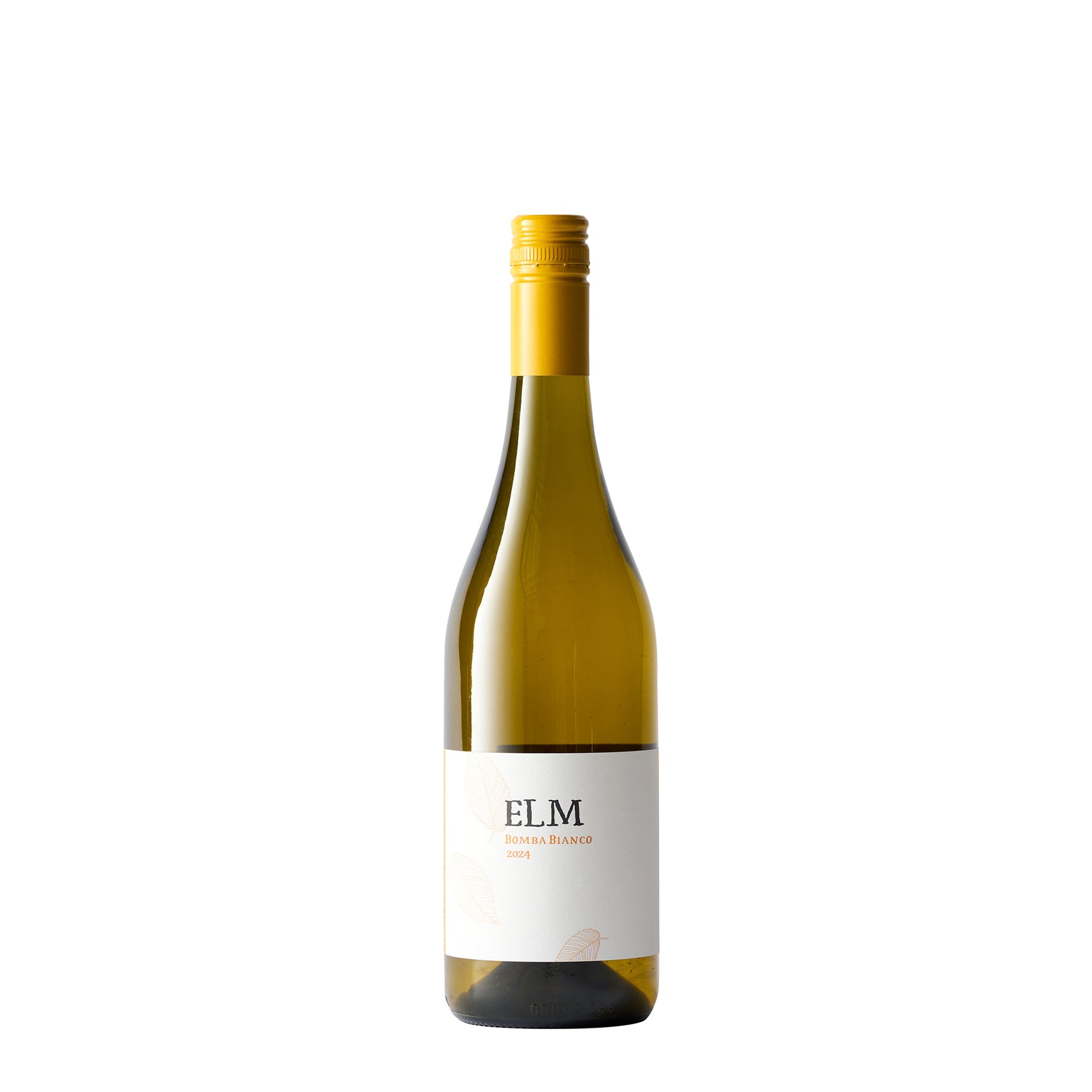 Elm "Bomba Bianco", 2024